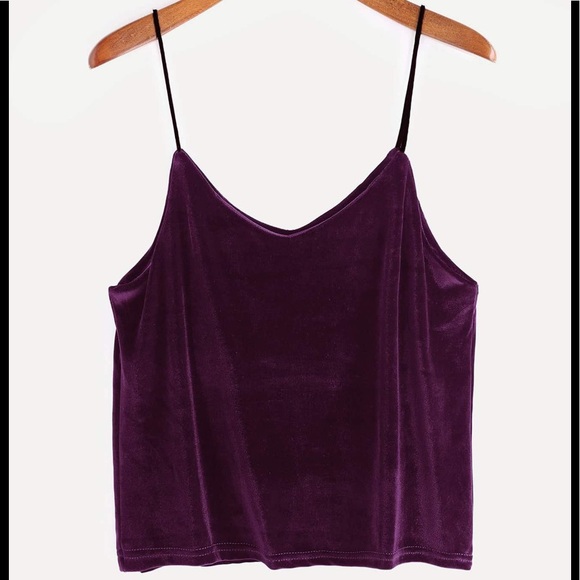 Tops - Women’s Purple Velvet Top